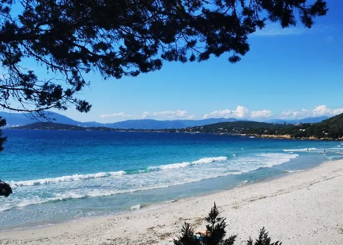Studio Avec Terasse Vue Mer