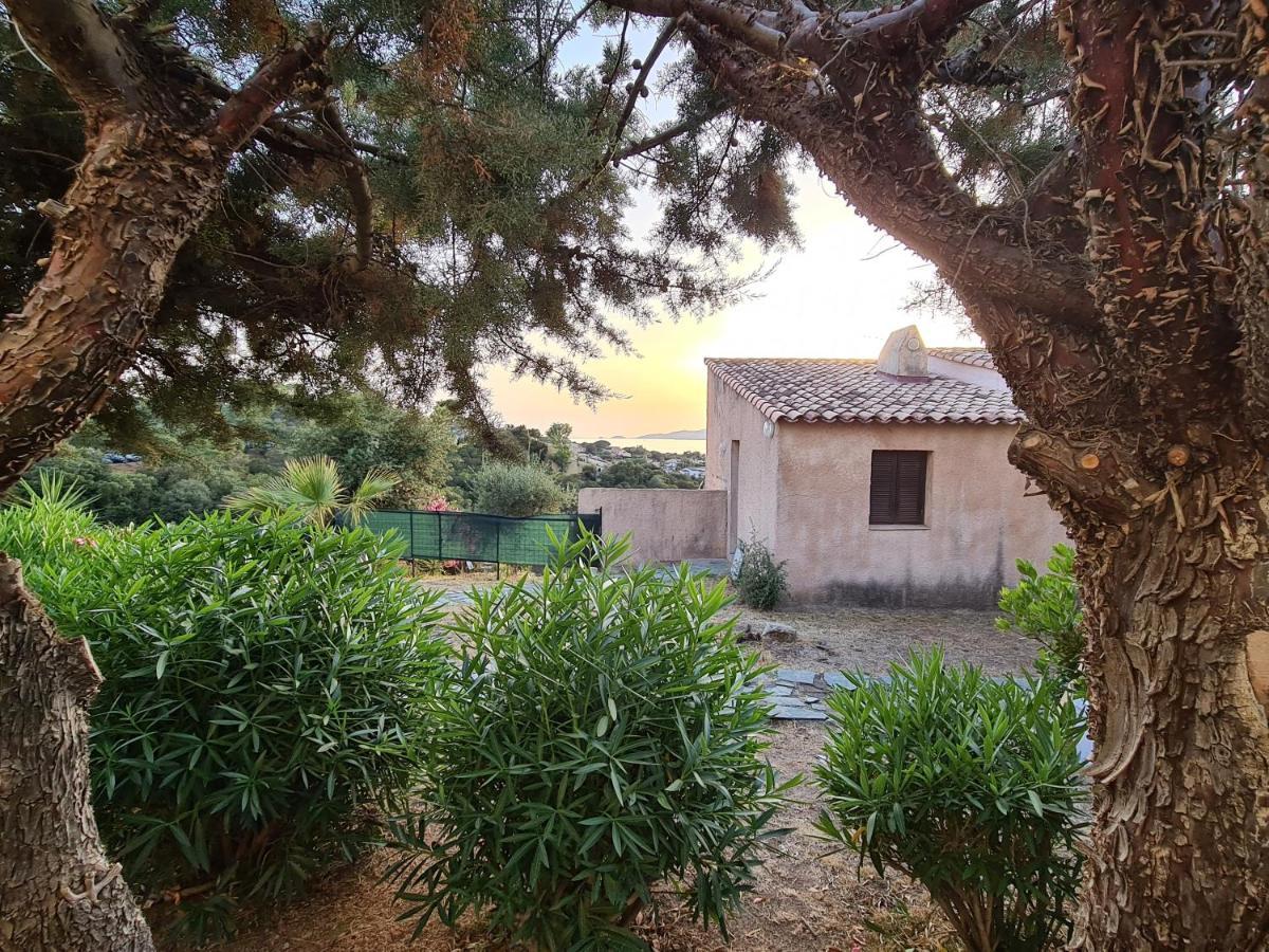Appartement Avec Terasse Vue Porticcio (Corsica)