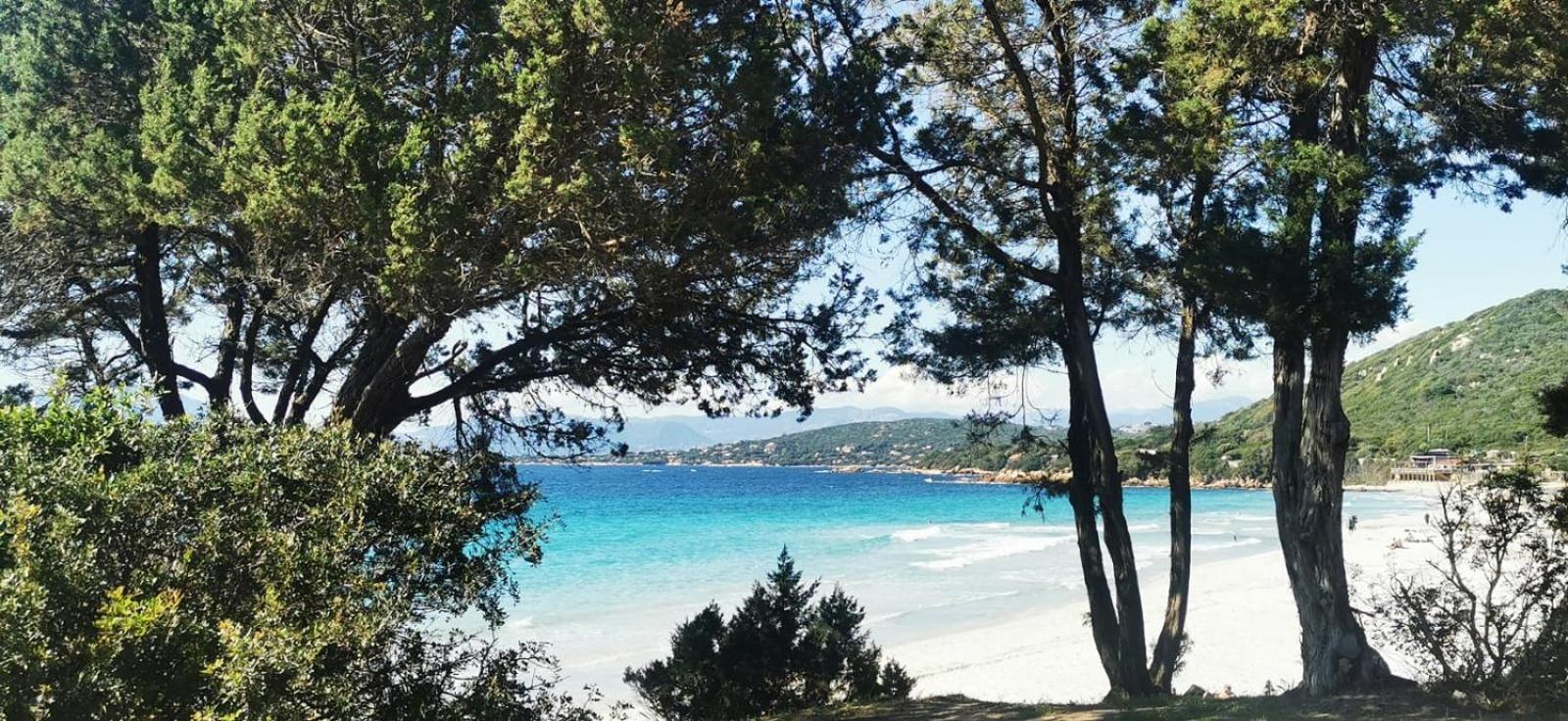 Avec Terasse Vue Apartment